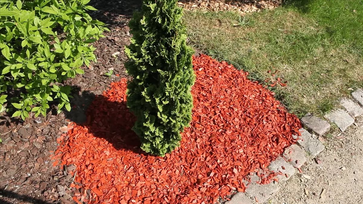 Mulch - Einsatz im Garten