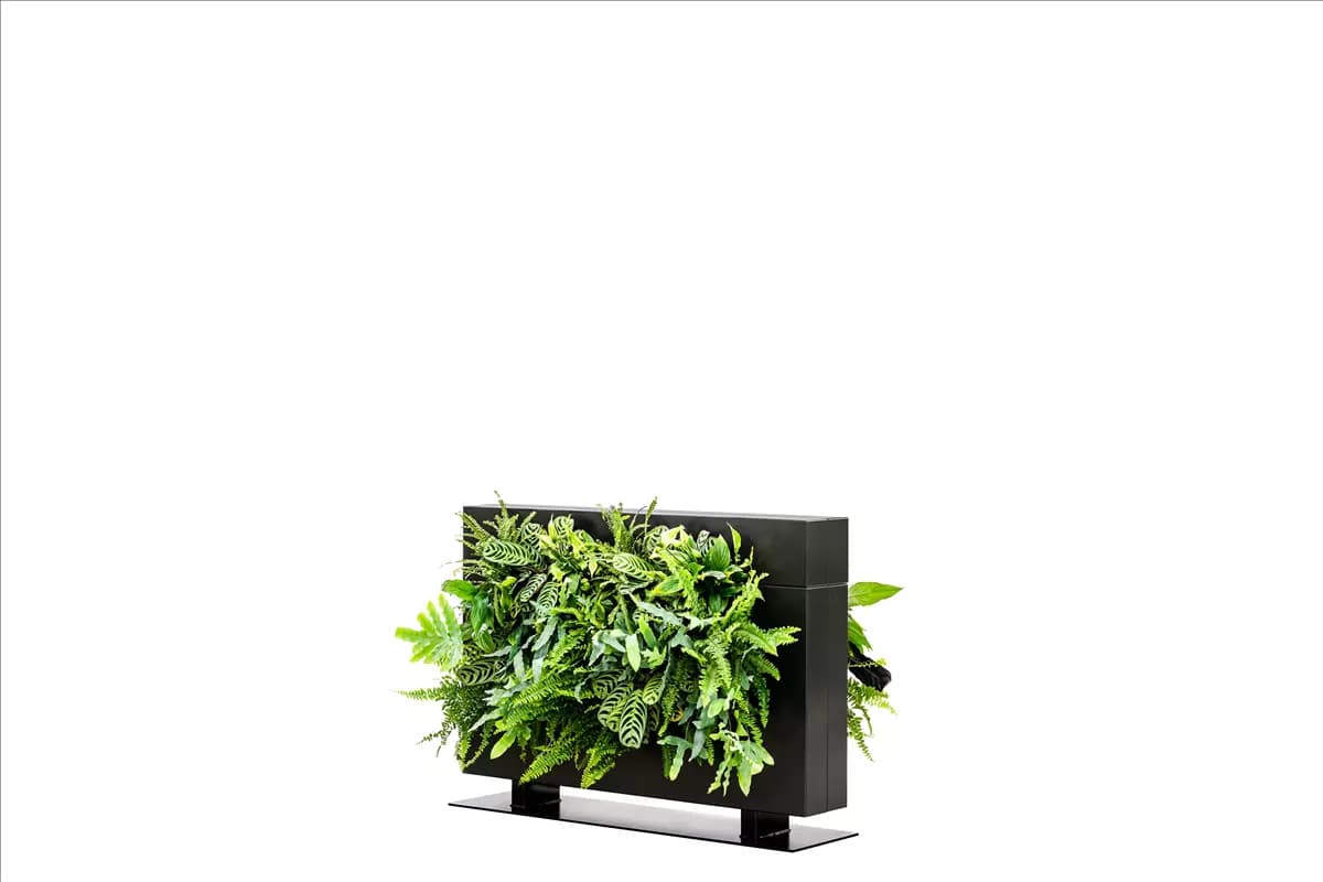 LiveDivider Plus 1