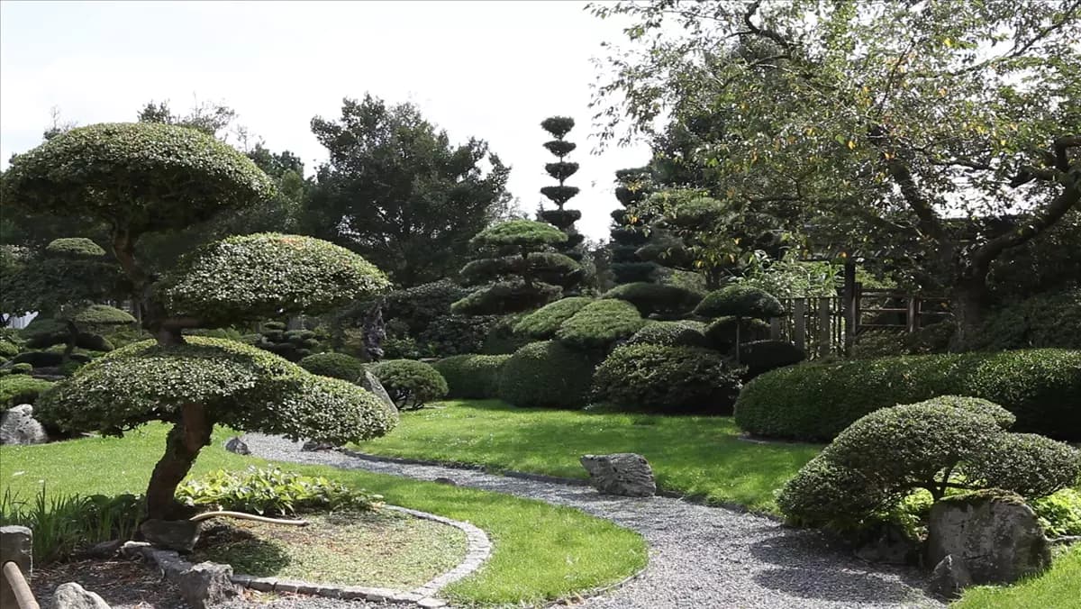 Gartengestaltung - Japangarten