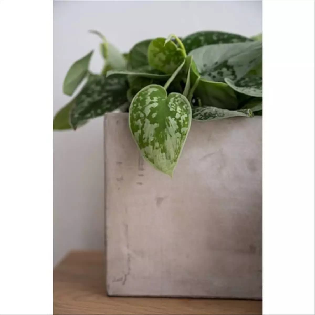 Grace Concrete