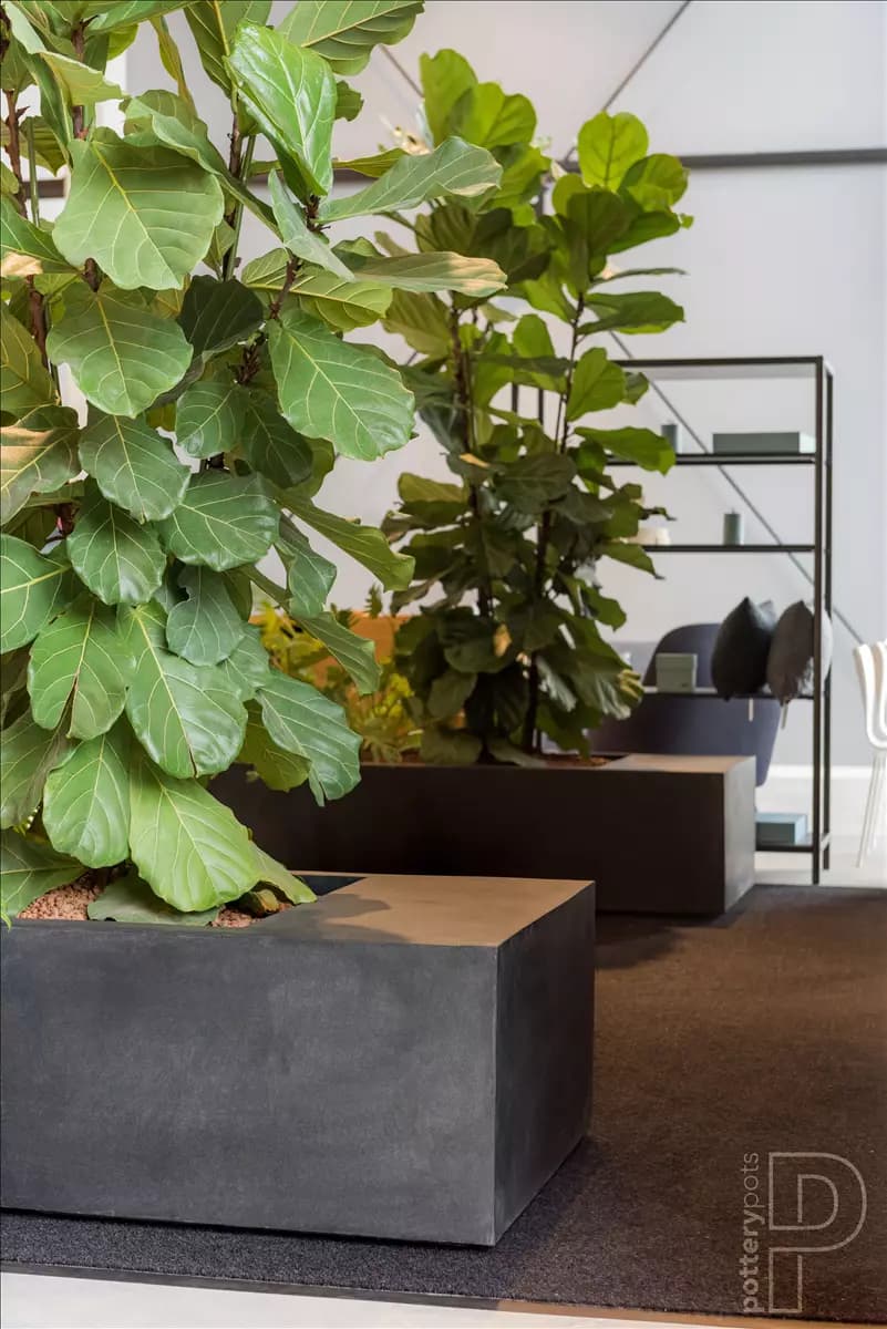 Jumbo Seating Natural