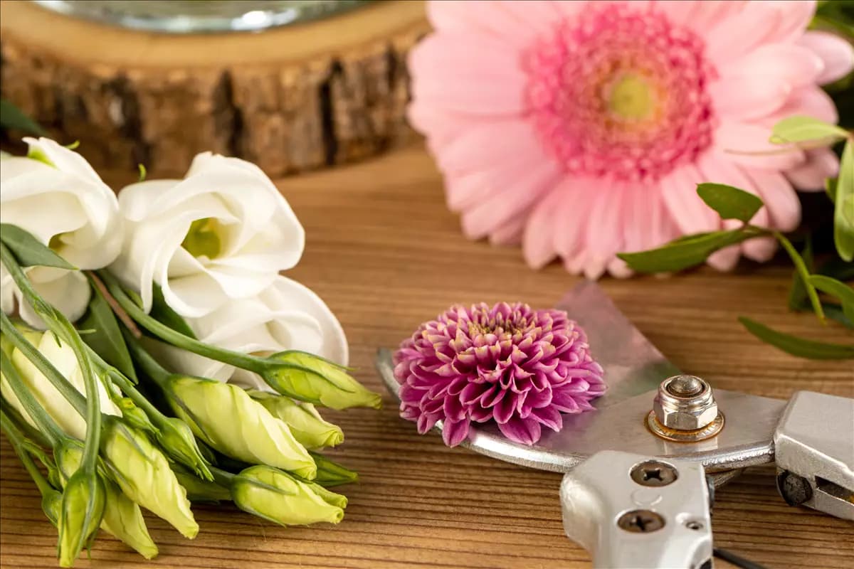 Schnittblumen - was hilft wirklich?