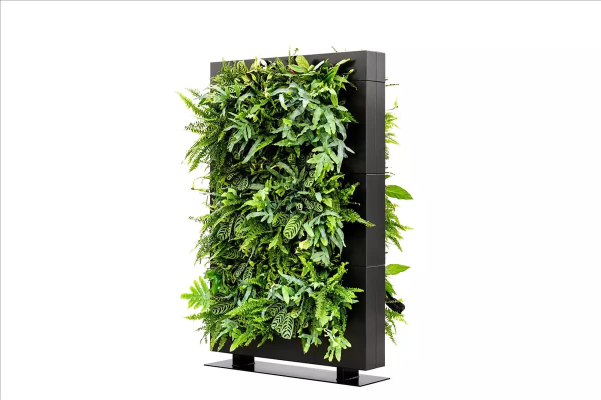 LiveDivider Plus 3