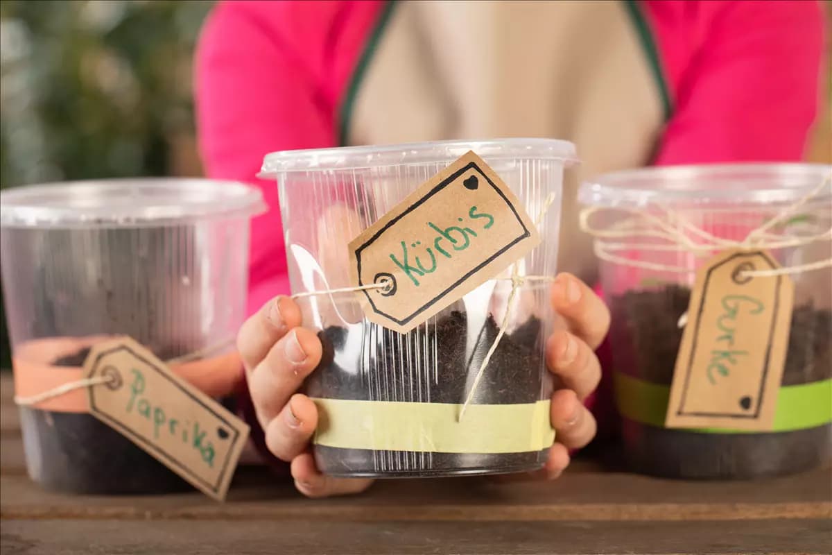 Mini-Gewächshaus – mit Plastik etwas Gutes tun