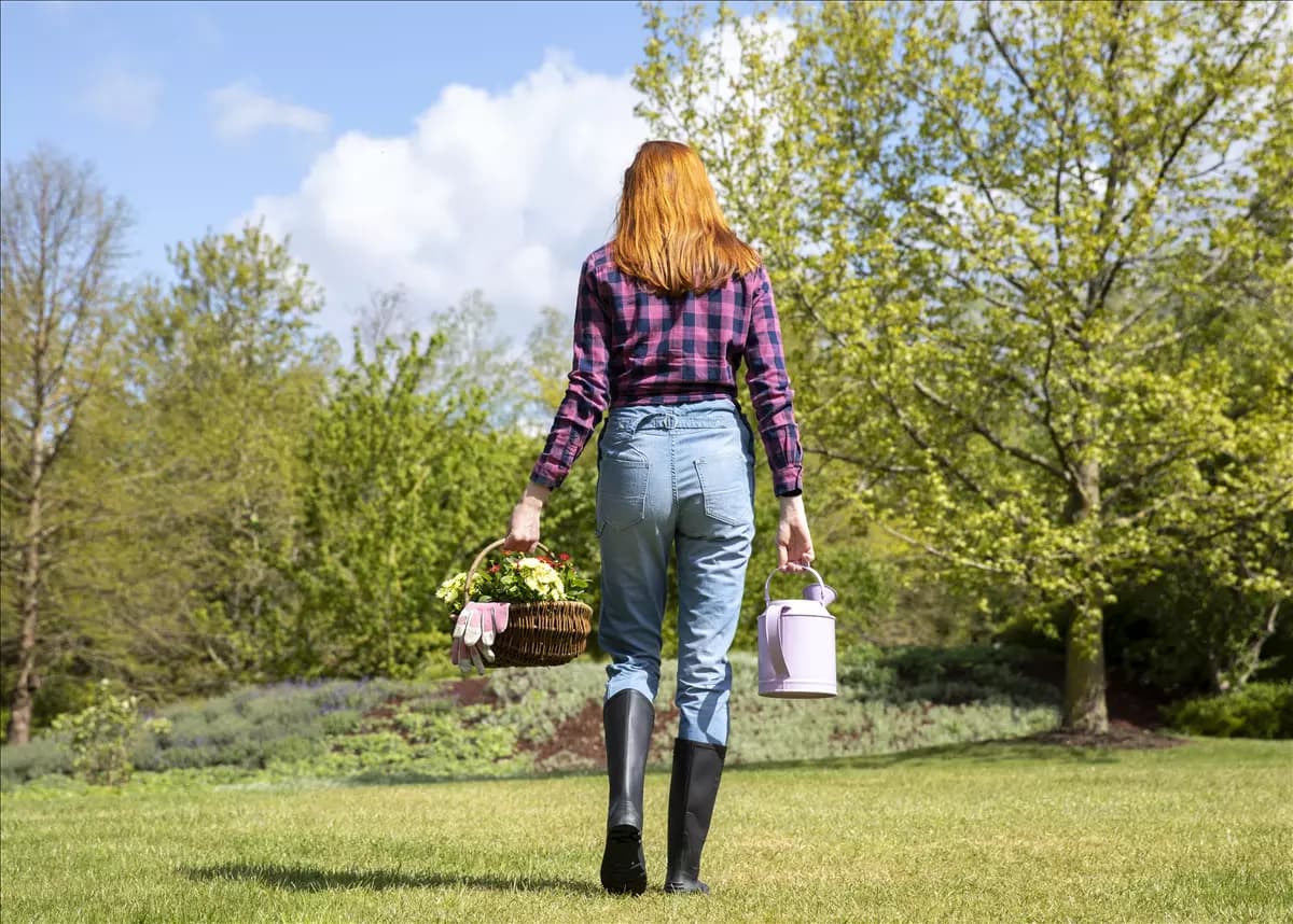 Die richtige Gartenarbeit verspricht sichtbaren Erfolg