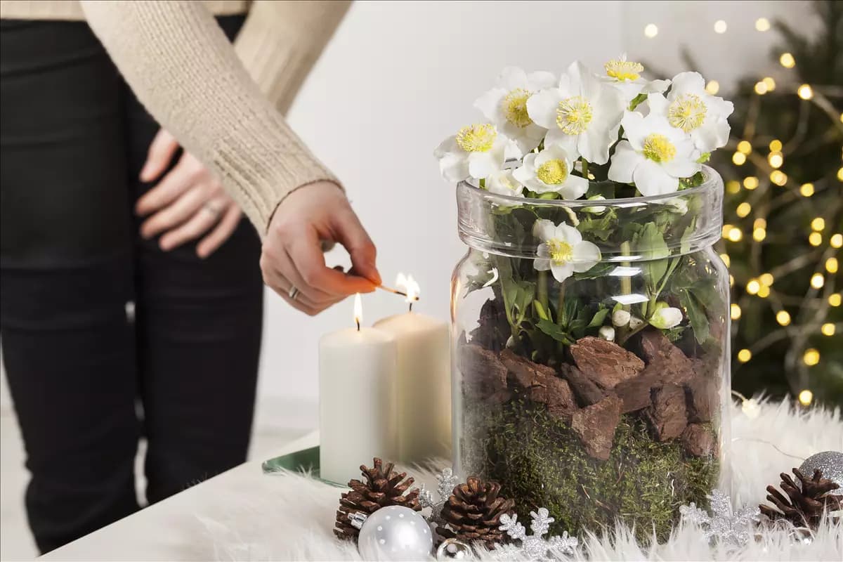 Die schönsten Pflanzen zu Weihnachten im und aus dem Garten