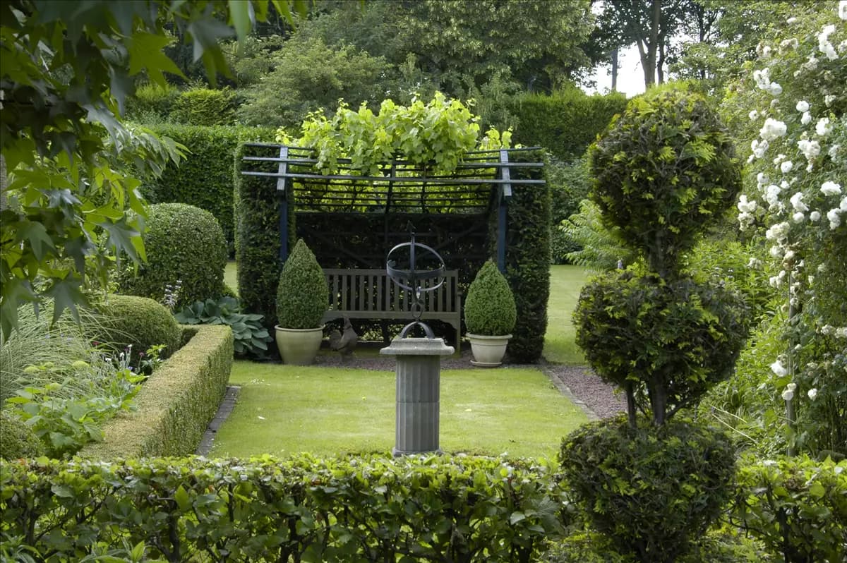 Formgehölze im Garten – So bleibt alles top in Form