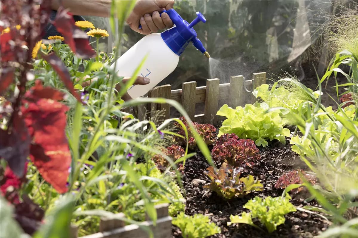Mit dem richtigen Dünger bleiben Pflanzen im Garten auf Zack
