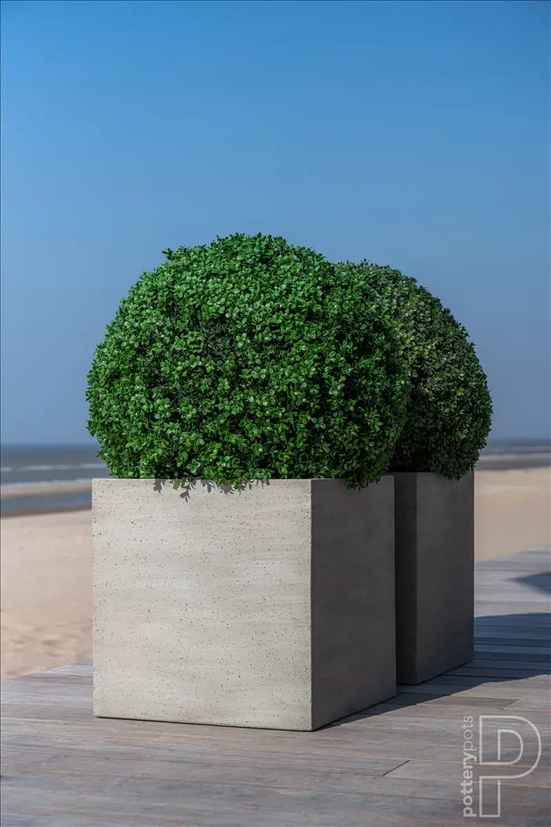 Block Natural